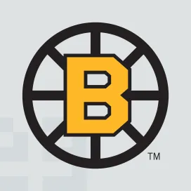 Boston bruins 1